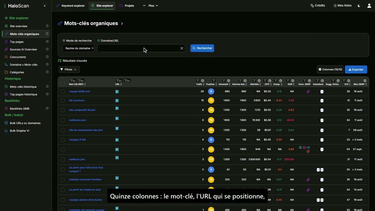 Capture du test de Haloscan : mots-clés organiques, chiffres relevés et datés