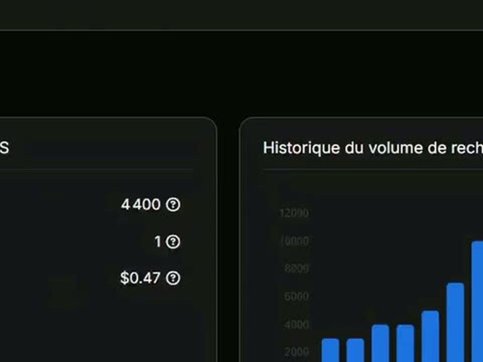 Détail de la capture : Recherche de mots-clés