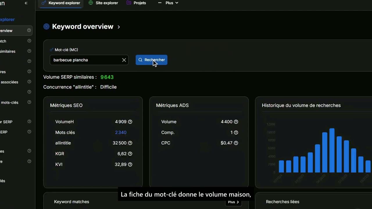 Capture du test de Haloscan : Recherche de mots-clés