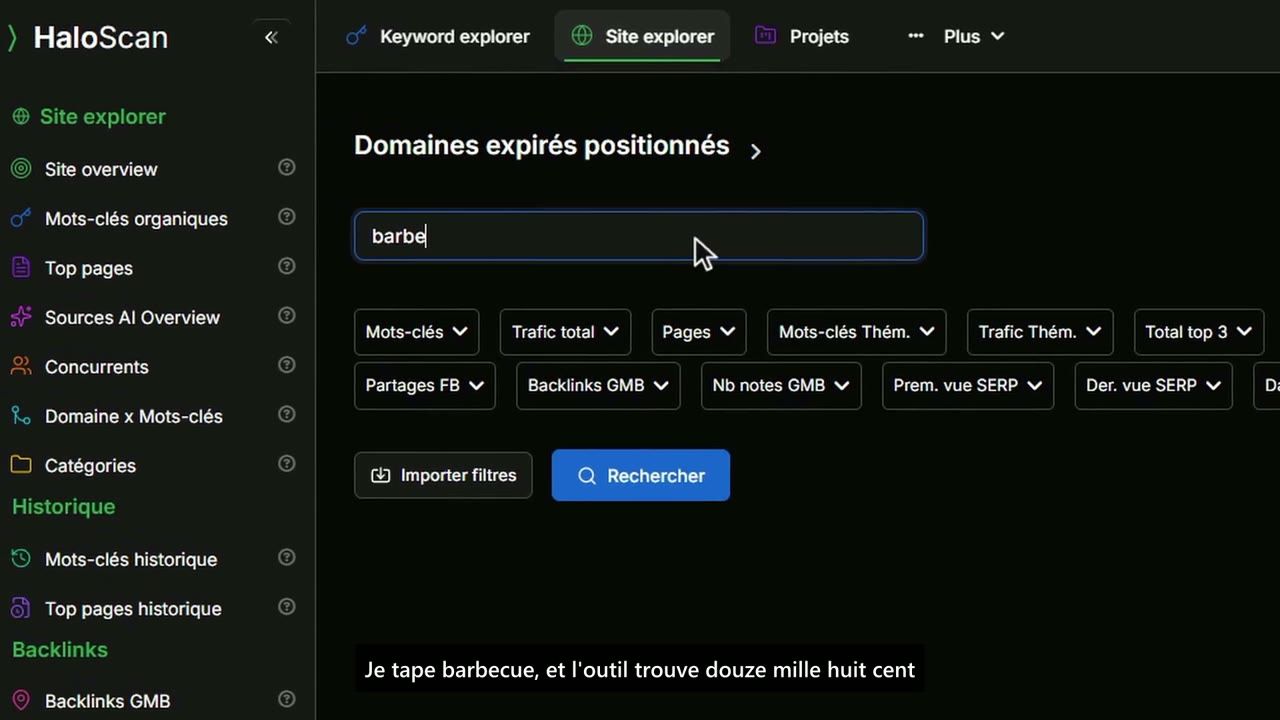 Capture du test de Haloscan : Domaines expirés